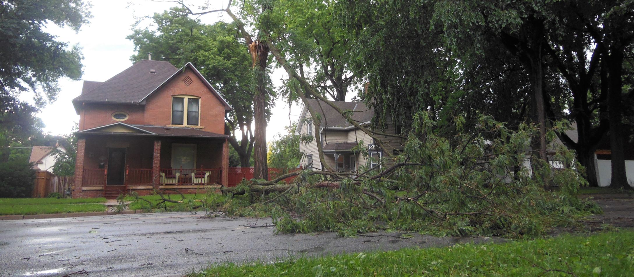 Belgrade Ave